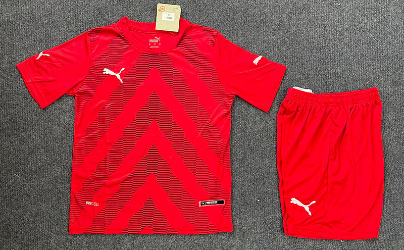 P003 High Quality Football Jerseys 100% Polyester Football Suit New Style with Personalized Print OEM Service for Adults